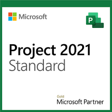 Microsoft Project Standard 2021 Full 1 license(s) Multilingual