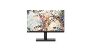 Lenovo T22i-20 54.6 cm (21.5") Full HD 60 Hz IPS Monitor
