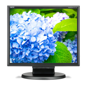 NEC E172M 43.2 cm (17") HD 60 Hz TN Monitor