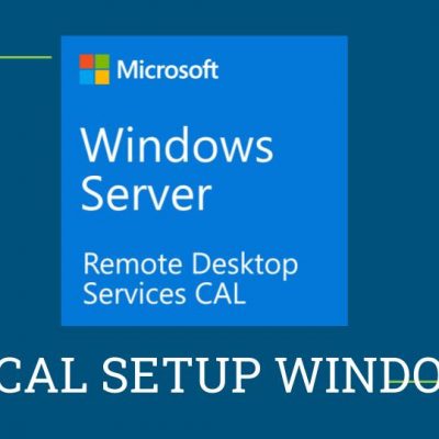 Microsoft Windows Server CAL 2022 Client Access License (CAL) 1 license(s)